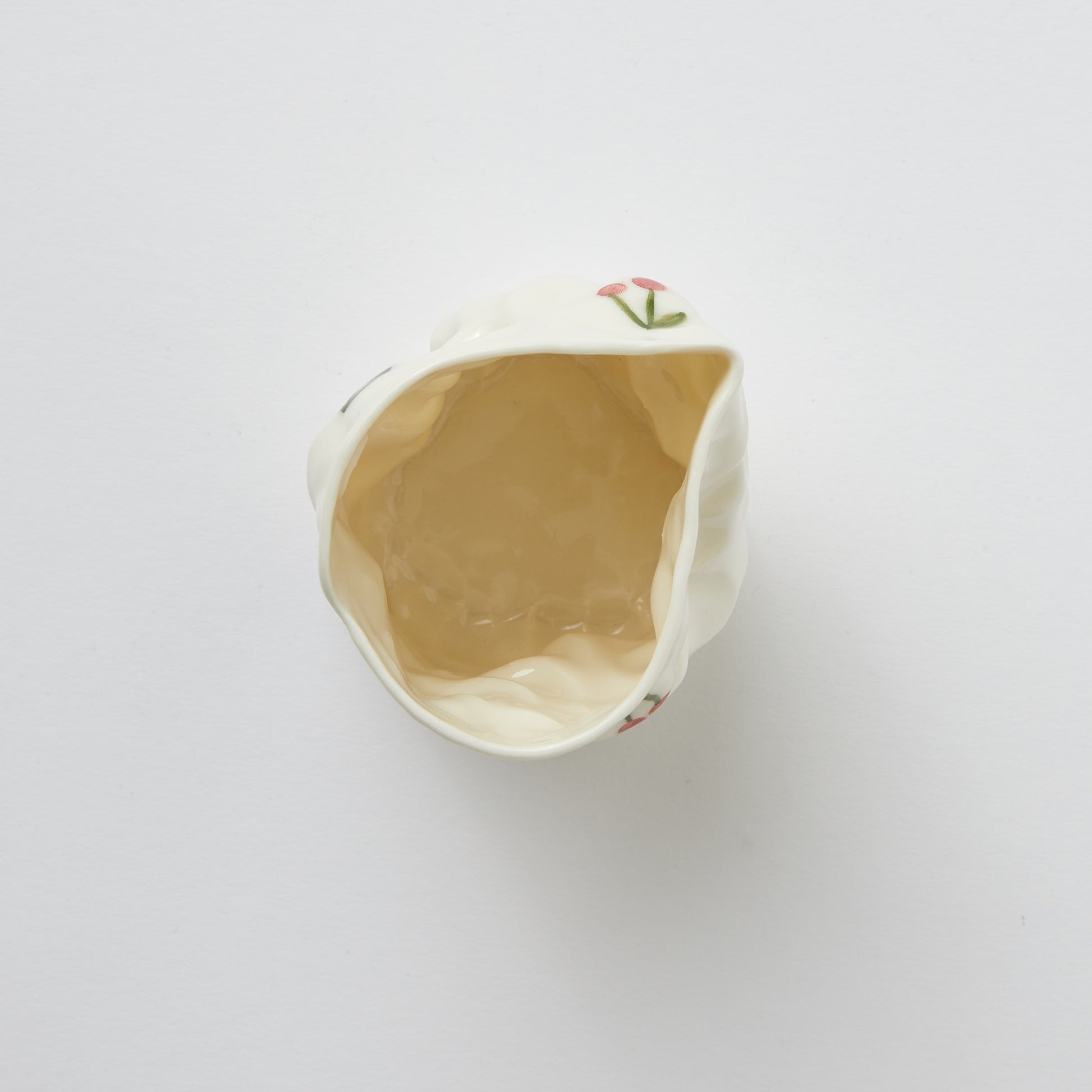 Krøllet Mælkekande