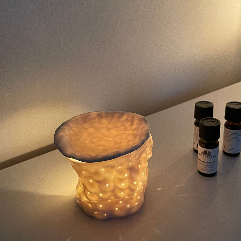 Forudbestilling 2025